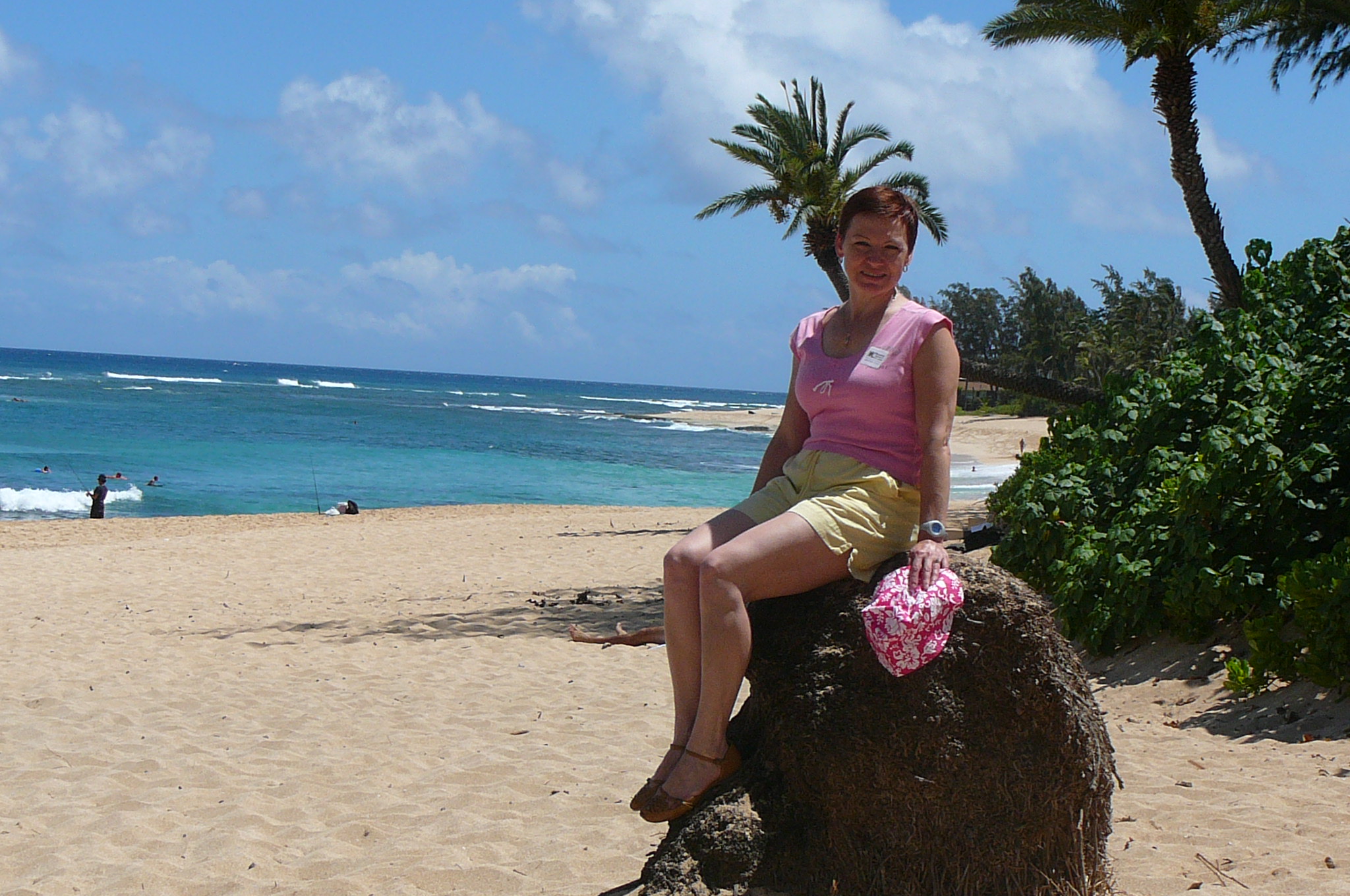Hawaii 2008